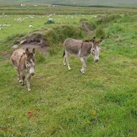 Skellig View Kerry Cliffs View Balcony Appartement Portmagee