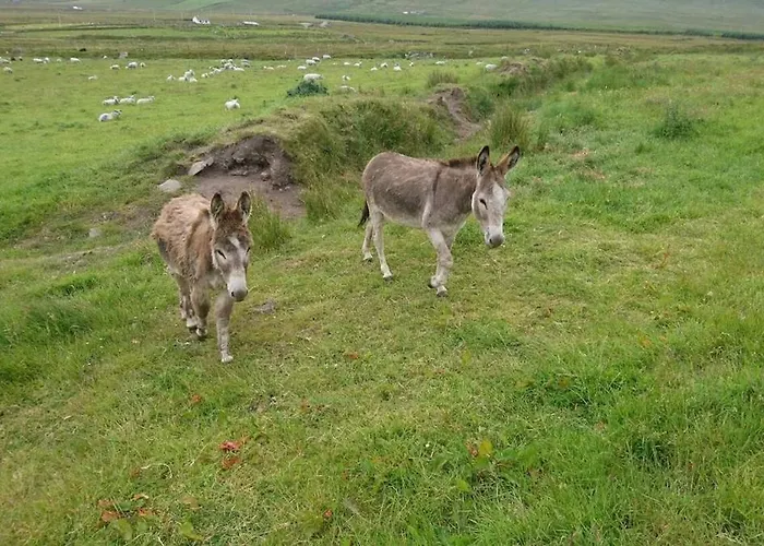 Skellig View Kerry Cliffs View Balcony Apartament Portmagee