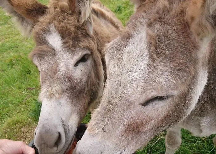 Skellig View Kerry Cliffs View Balcony Apartament Portmagee